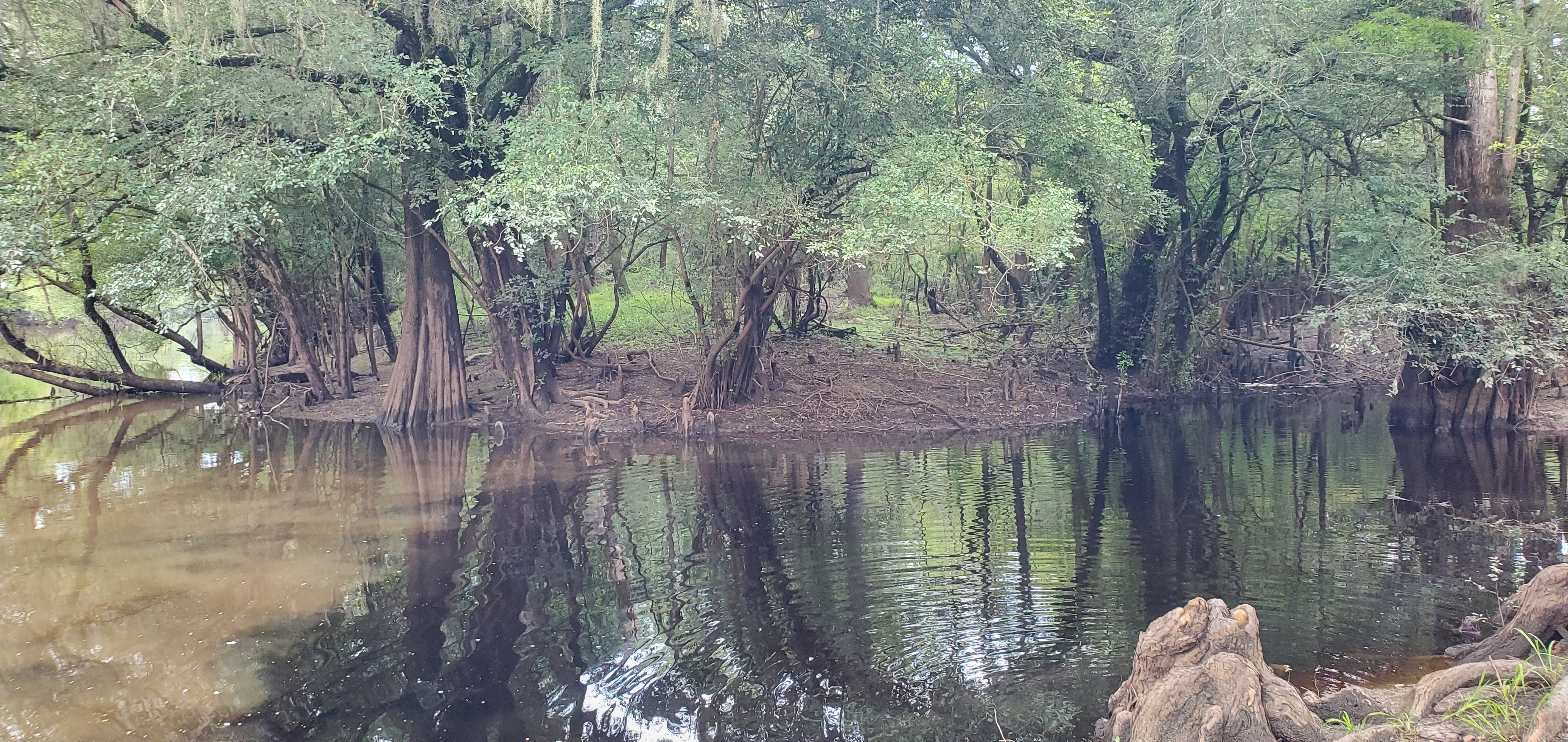 Creek, Knights Ferry Boat Ramp 2023-08-17