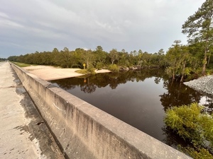 [East bank, Lakeland Boat Ramp, Alapaha River @ US 82 2023-08-16]