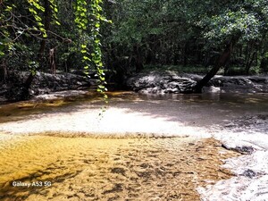 [Two Mile Branch Confluence, Sugar Creek, Withlacoochee River @ Gornto Road 2023-08-17]