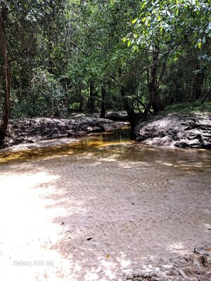 [Again, Two Mile Branch, Sugar Creek, Withlacoochee River @ Gornto Road 2023-08-17]