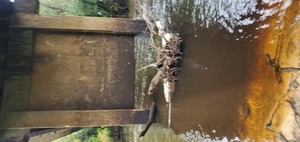 [Vertical FLow and level, Nankin Boat Ramp 2023-08-17]