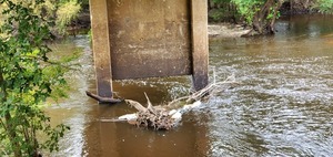 [Closeup, Flow and Level, Nankin Boat Ramp 2023-08-17]