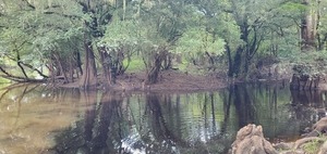 [Creek, Knights Ferry Boat Ramp 2023-08-17]