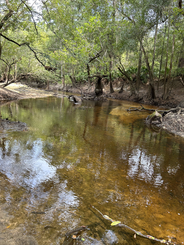 Franklinville downstream, Withlacoochee River @ Frankinville Road 2023-08-24