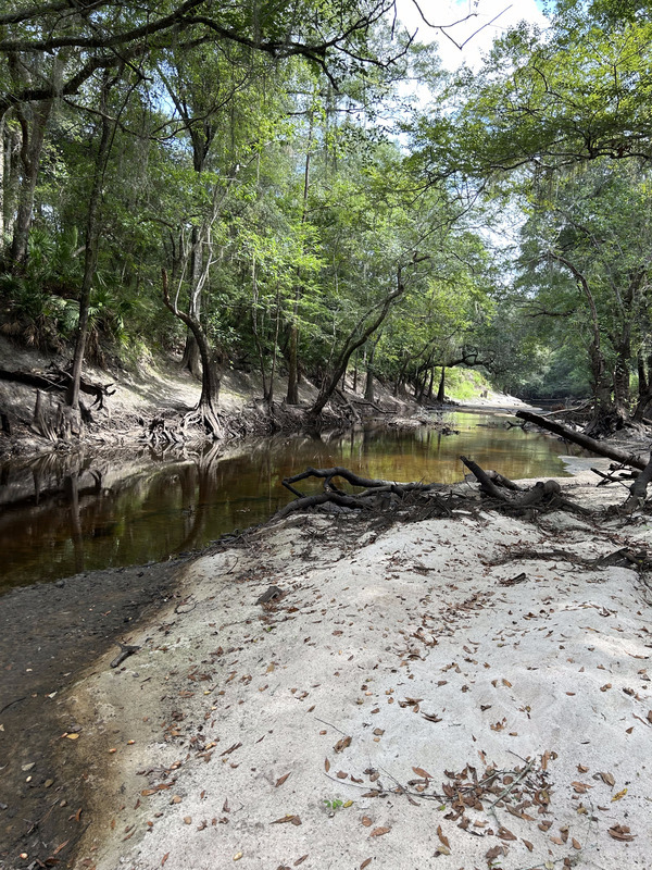 [Staten Road, Withlacoochee River @ Staten Road 2023-08-24]