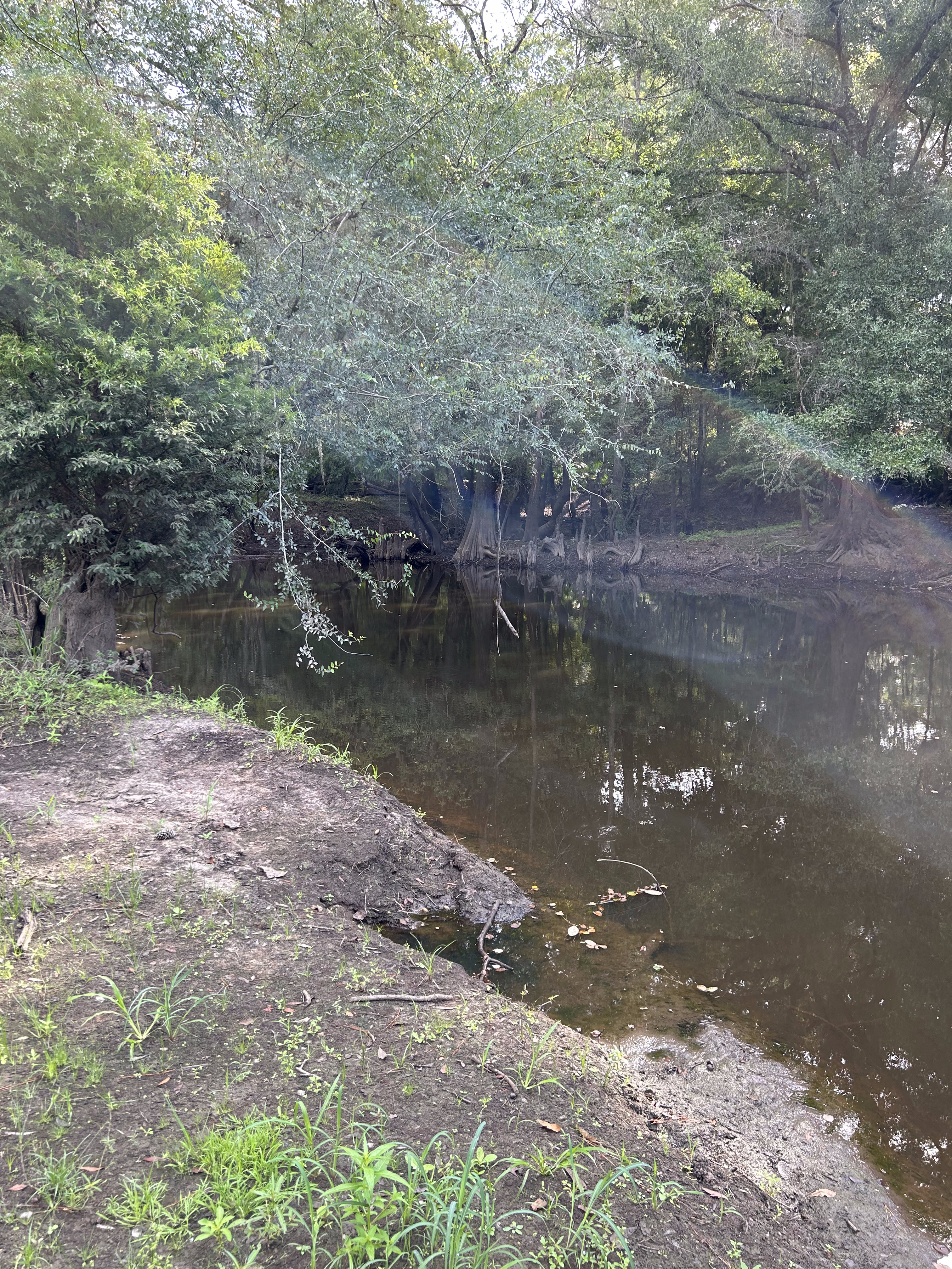 US 41 Landing downstream, Withlacoochee River @ North Valdosta Road 2023-08-24