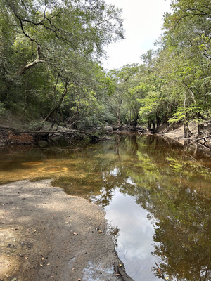 [Staten Road downstream, Withlacoochee River @ Staten Road 2023-08-24]