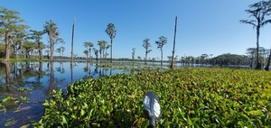 [Looking north across Banks Lake]