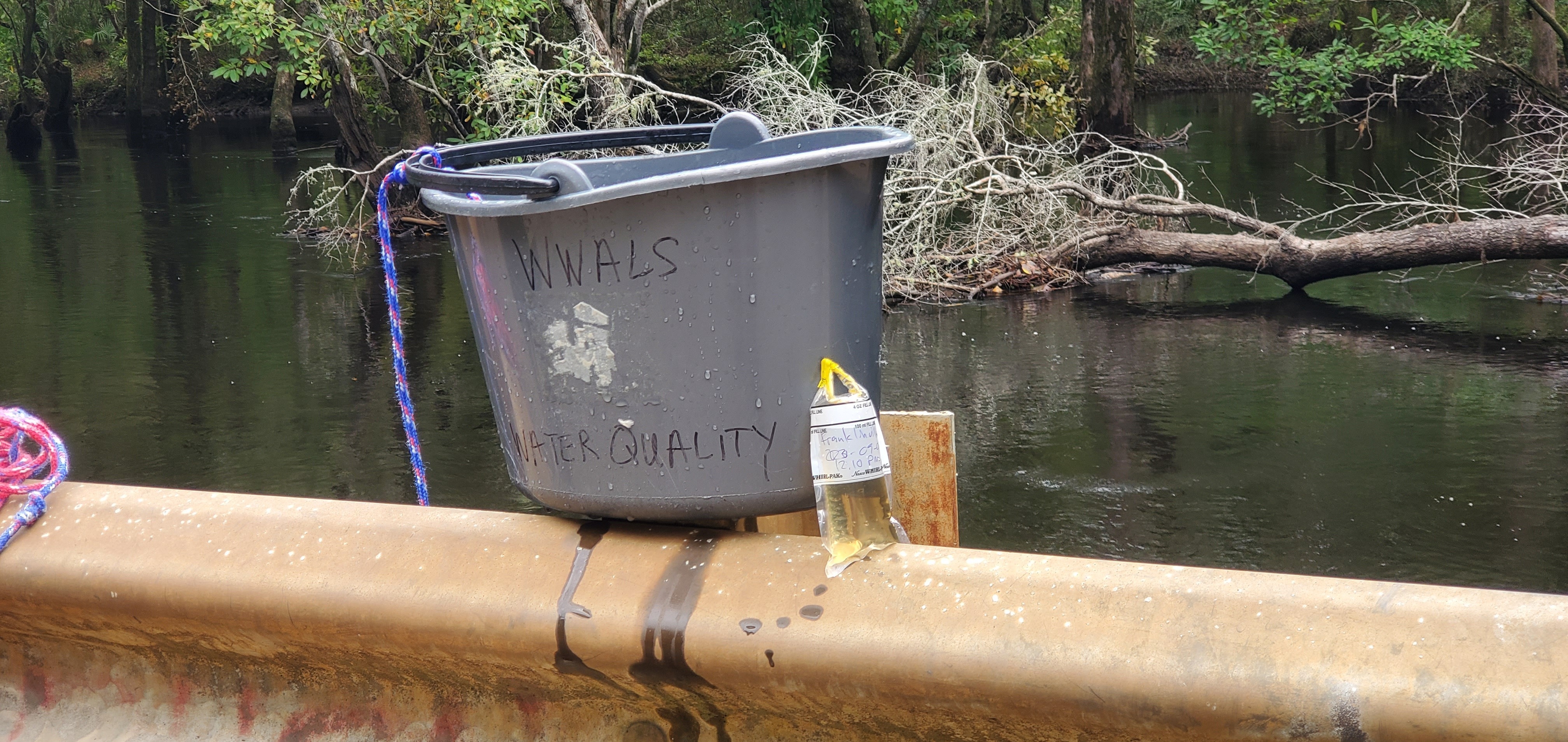 Sample, Franklinville, Withlacoochee River @ Frankinville Road 2023-09-07