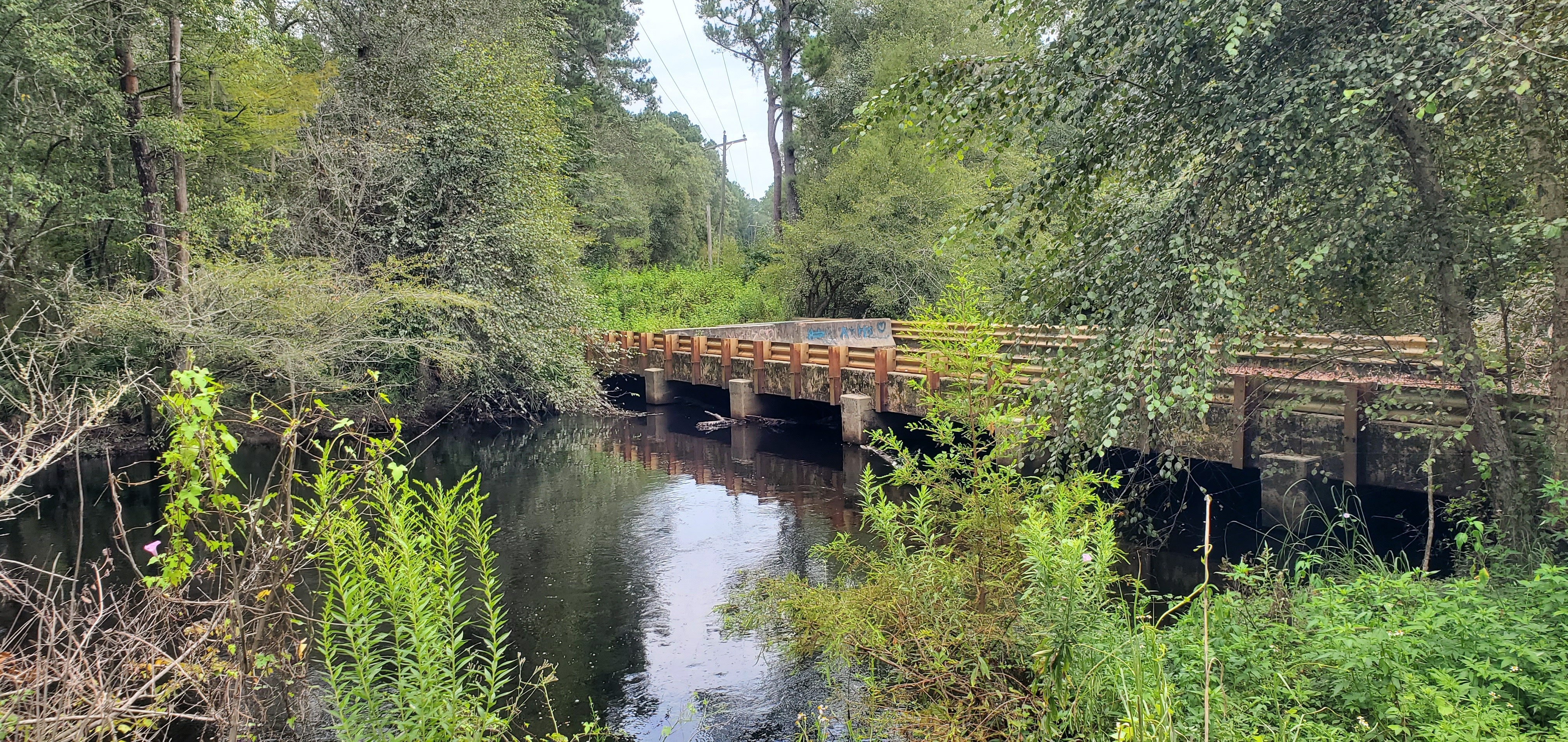 Franklinville Tyler Bridge, Withlacoochee River @ Frankinville Road 2023-09-07