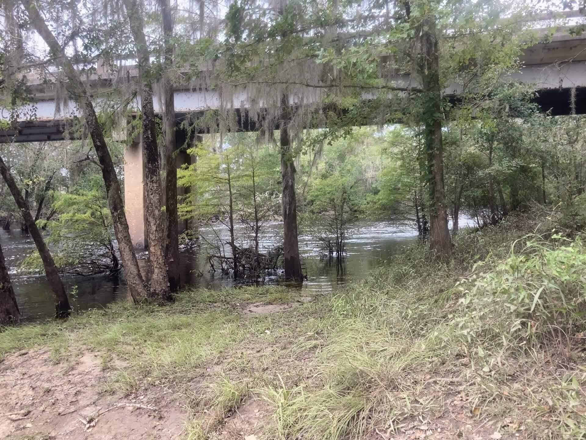 Movie: level and flow, Nankin Boat Ramp, Withlacoochee River 2023-09-07