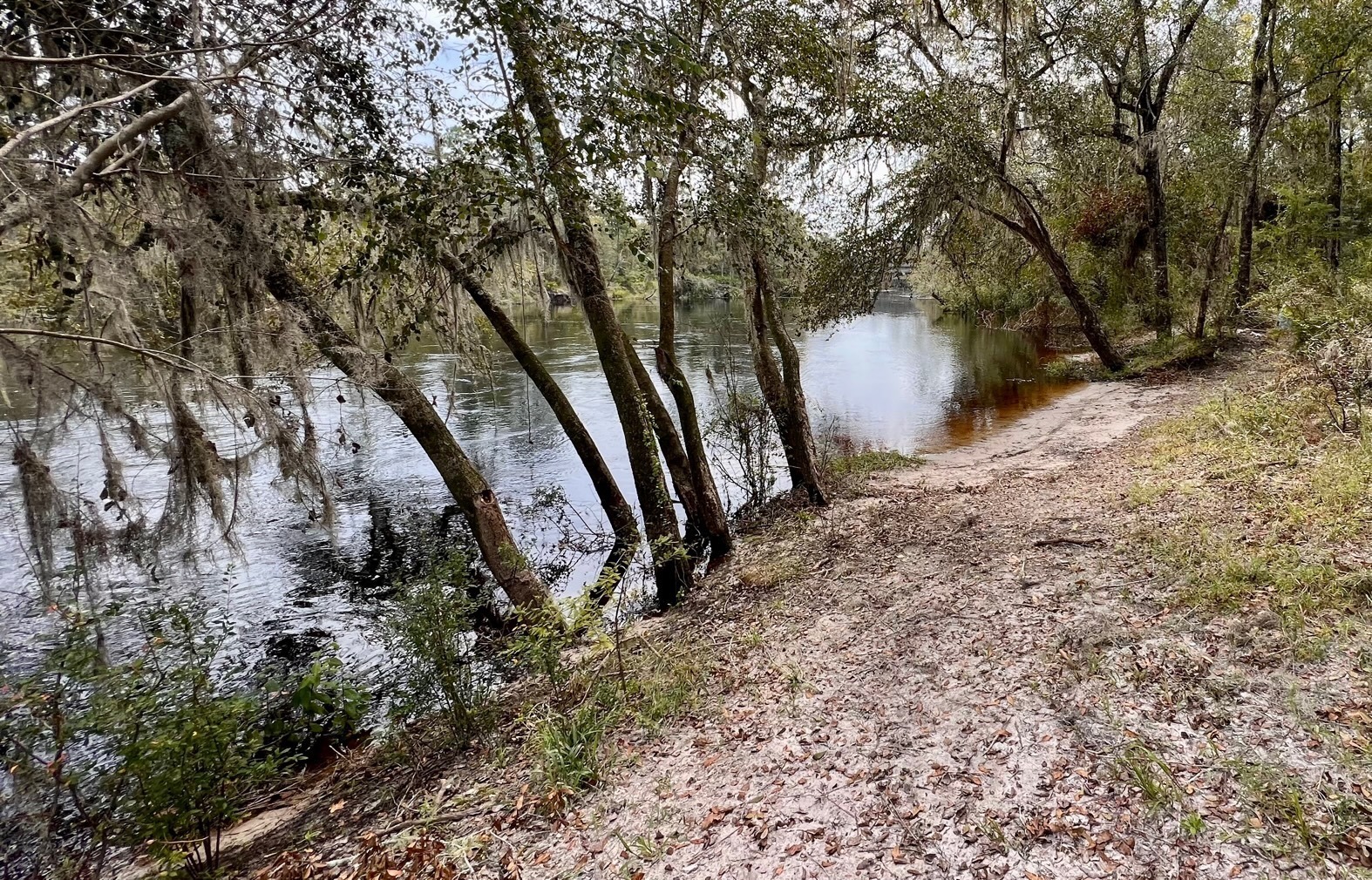 Naylor Park Beach, Alapaha River @ US 82 2023-09-07