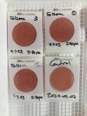 [Plates, Folsom Bridge Landing 2023-09-07]