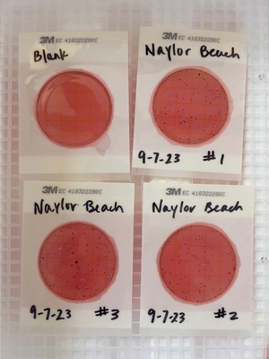 [Plates, Naylor Park Beach, Alapaha River 2023-09-07]