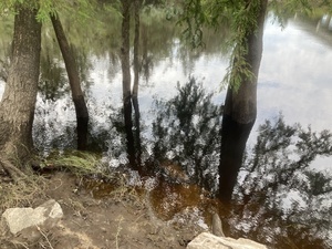 [Rocks, State Line Boat Ramp, Withlacoochee River @ Madison Highway 2023-09-07]