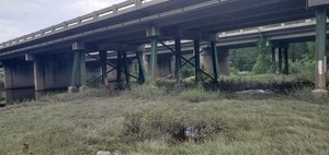 [No tent, US 41 Landing, Withlacoochee River @ North Valdosta Road 2023-09-07]