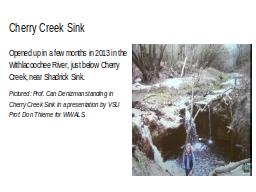 Cherry Creek Sink