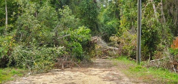 Weave left, Langdale Park, Withlacoochee River 2023-09-28, 2023:09:28 12:30:05, 30.8862942, -83.3180019