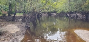 [Downstream, Langdale Park, Withlacoochee River 2023-09-28, 2023:09:28 12:14:29, 30.8876097, -83.3239079]