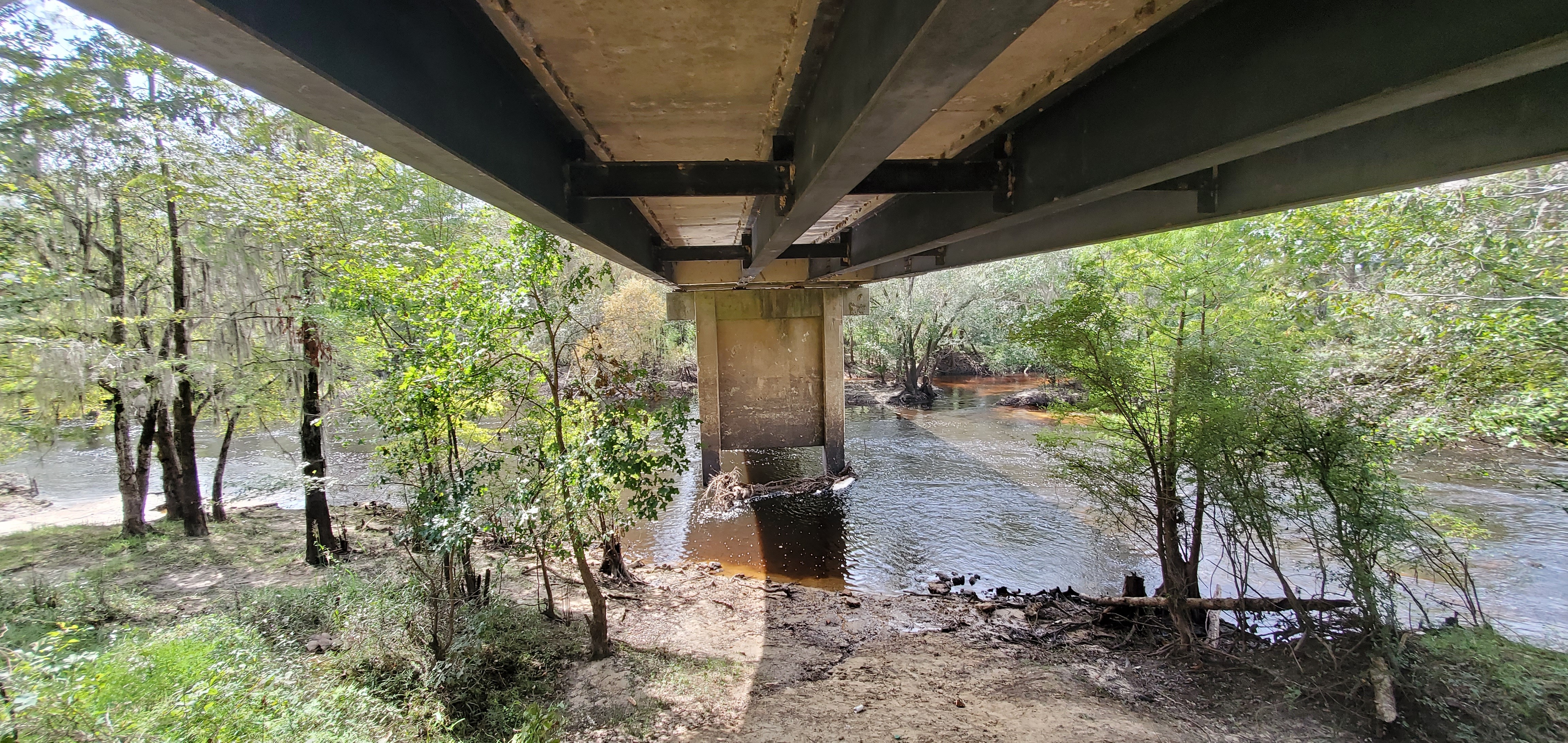 Under C-N Road Bridge, Nankin Boat Ramp, Withlacoochee River, 2023-09-28, 13:38:04, 30.6749477, -83.3940038