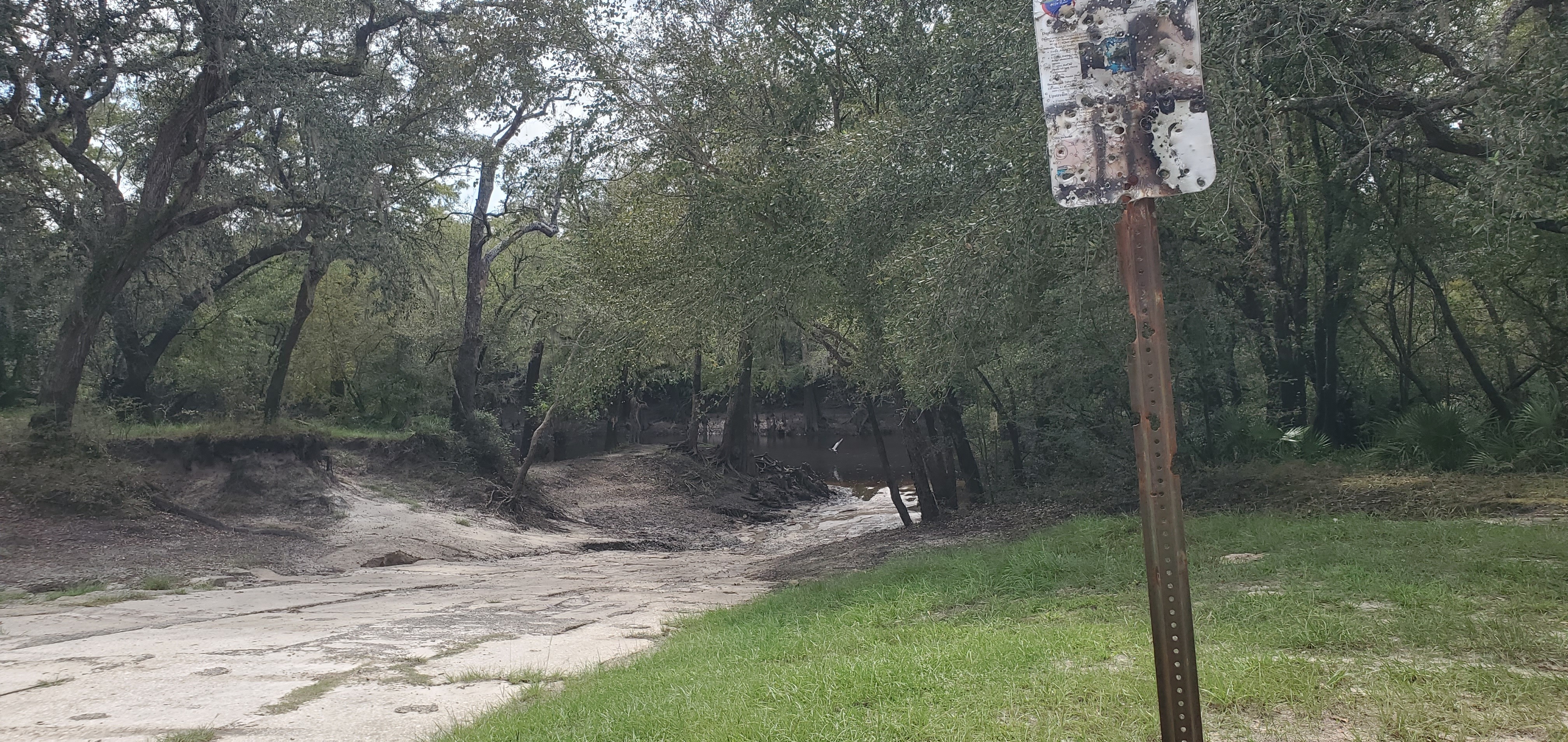 Knights Ferry Boat Ramp, Withlacoochee River 2023-09-28, 13:59:12, 30.7125270, -83.4553205