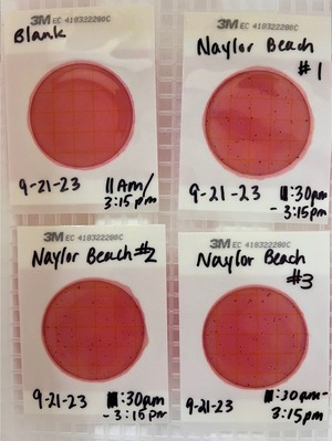 [Plates, Naylor Park Beach, Alapaha River @ US 82 2023-09-21]