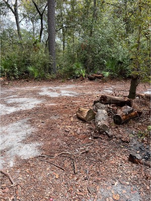 [Still no trashcan, Naylor Park Beach, Alapaha River, 2023-09-28]