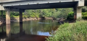 [Upstream under Hagan Bridge, Withlacoochee River @ GA 122 2023-09-28, 11:18:42, 31.0136657, -83.3016714]