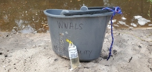 [Sample, Langdale Park, Withlacoochee River 2023-09-28, 12:18:11, 30.8876500, -83.3241620]