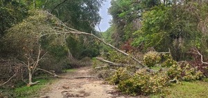 [Ground impediment, Langdale Park, Withlacoochee River 2023-09-28, 12:27:54, 30.8861394, -83.3188463]