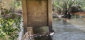 [Closeup under C-N Road Bridge, Nankin Boat Ramp, Withlacoochee River, 2023-09-28, 13:38:08, 30.6749477, -83.3940038]