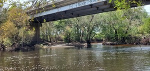 [Across, Nankin Boat Ramp, Withlacoochee River, 2023-09-28, 13:41:03, 30.6748889, -83.3940256]