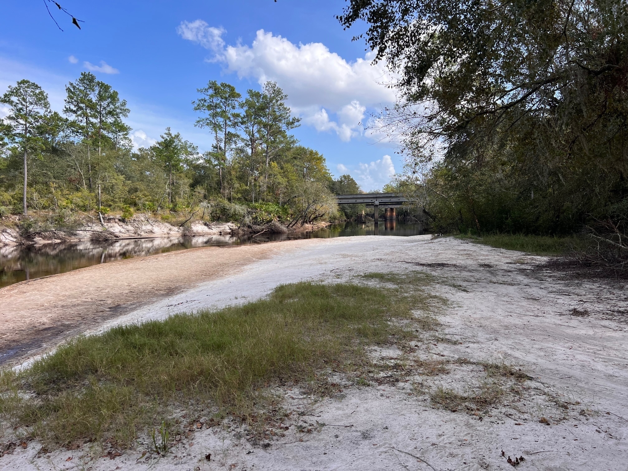 Naylor Park Beach @ US 84, Alapaha River 2023-10-05