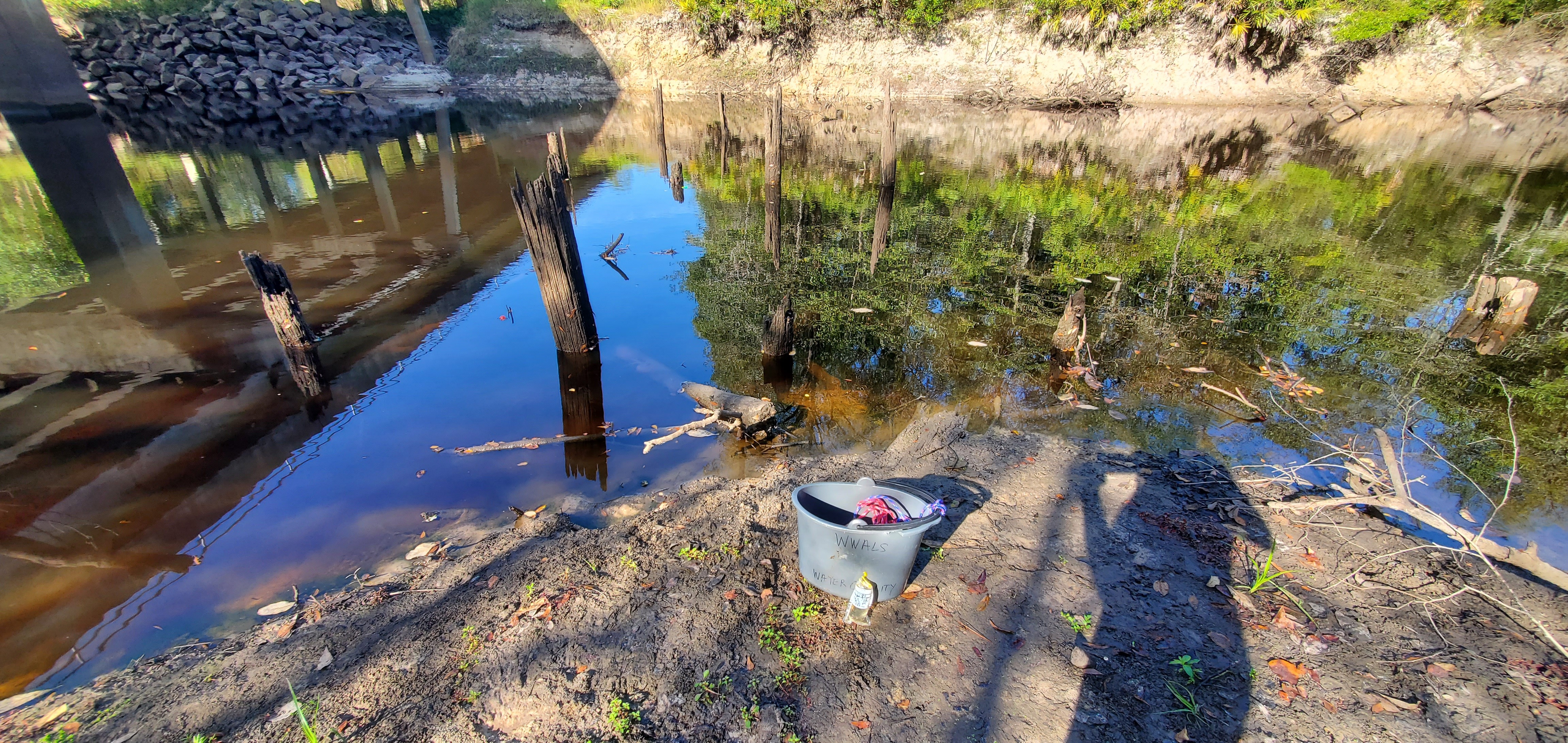 Sample, Old Bridge Pilings, GA 122 @ Withlacoochee River 2023-10-05