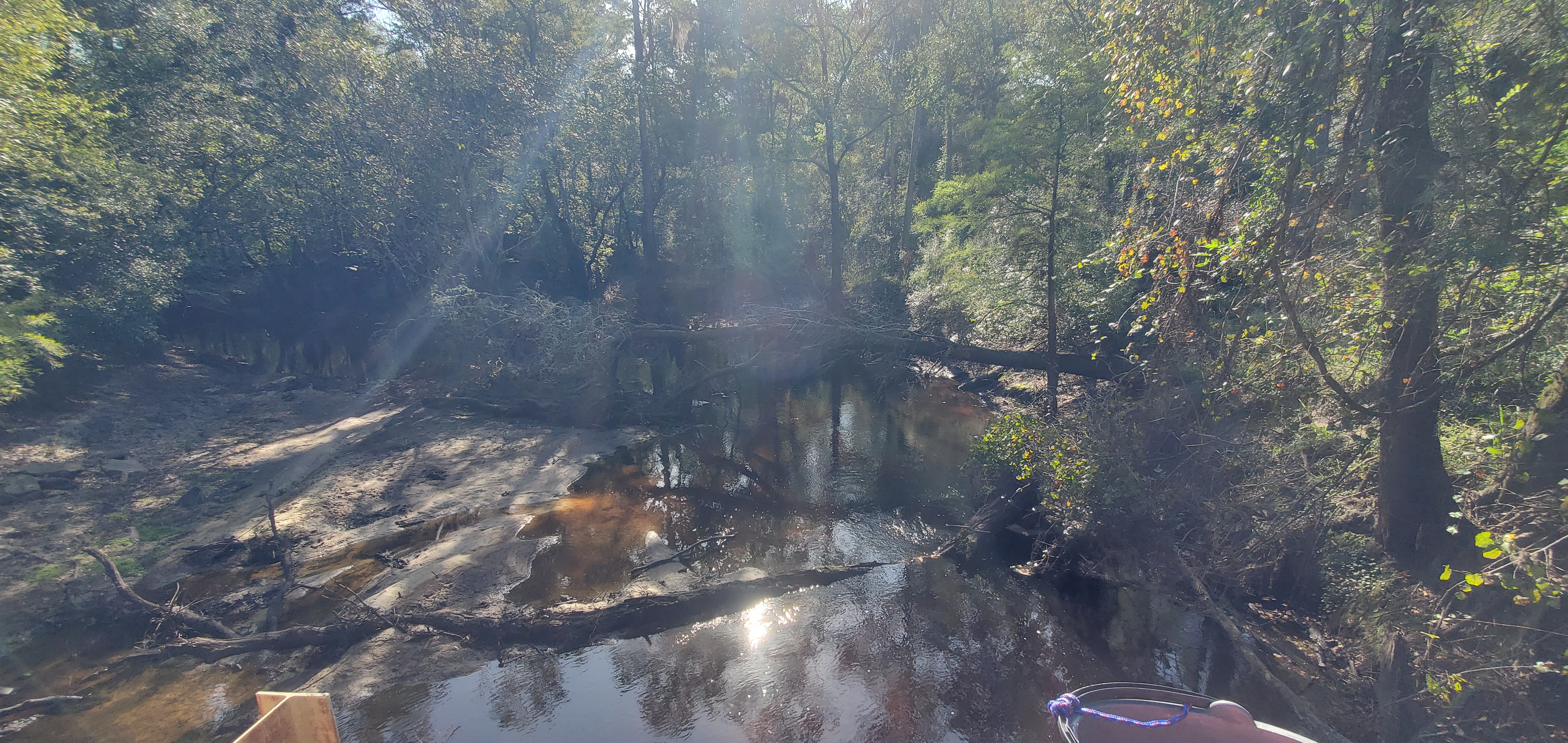 Downstream, Franklinville Landing, Withlacoochee River 2023-10-05