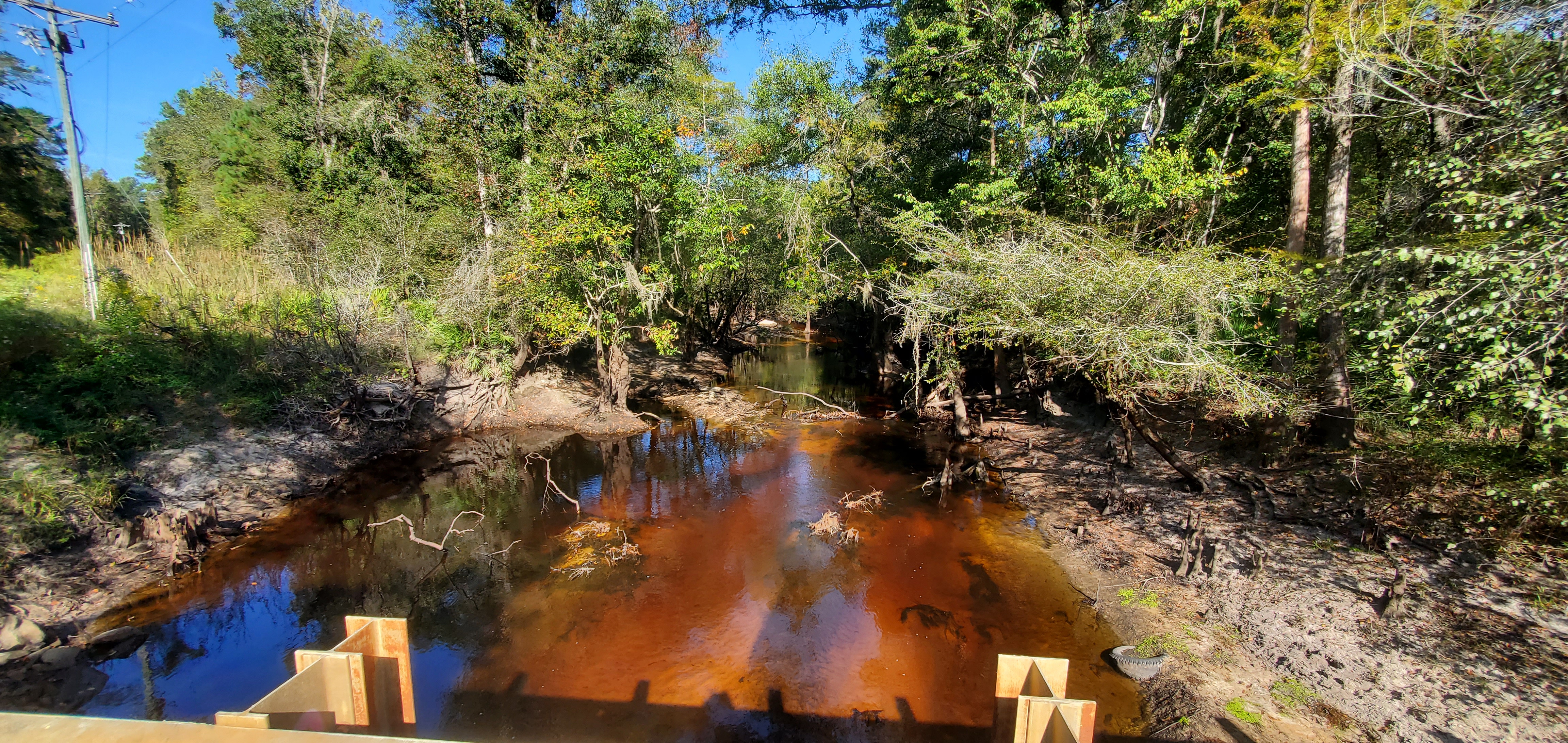 Upstream, Franklinville Landing, Withlacoochee River 2023-10-05