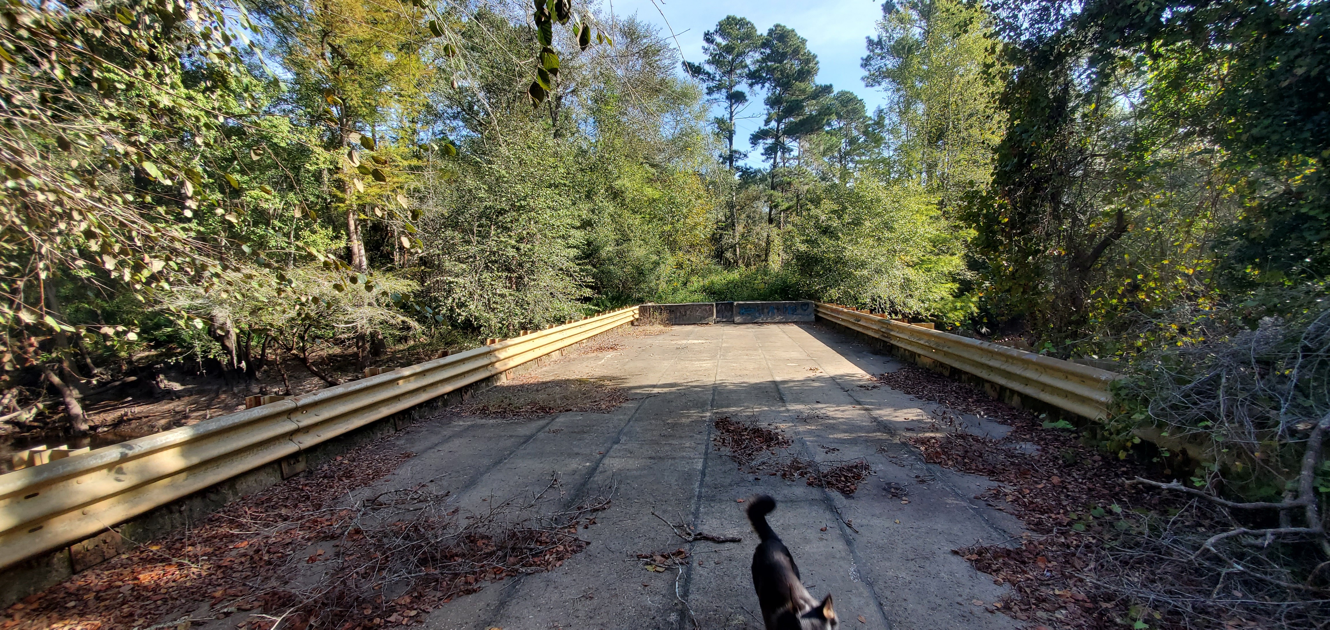 Tyler Bridge with Arrow, Franklinville Landing, Withlacoochee River 2023-10-05