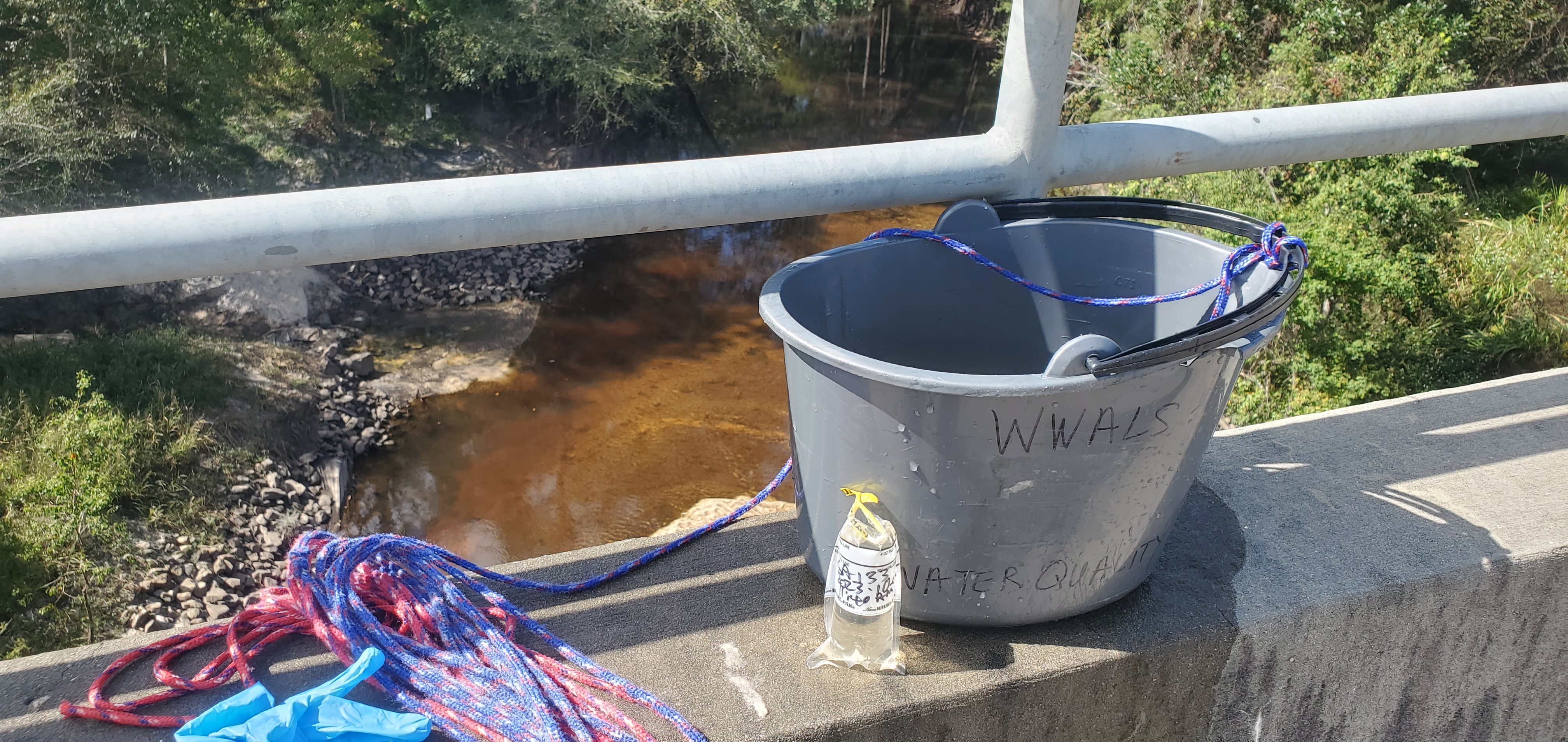 Sample @ GA 133, Withlacoochee River 2023-10-05