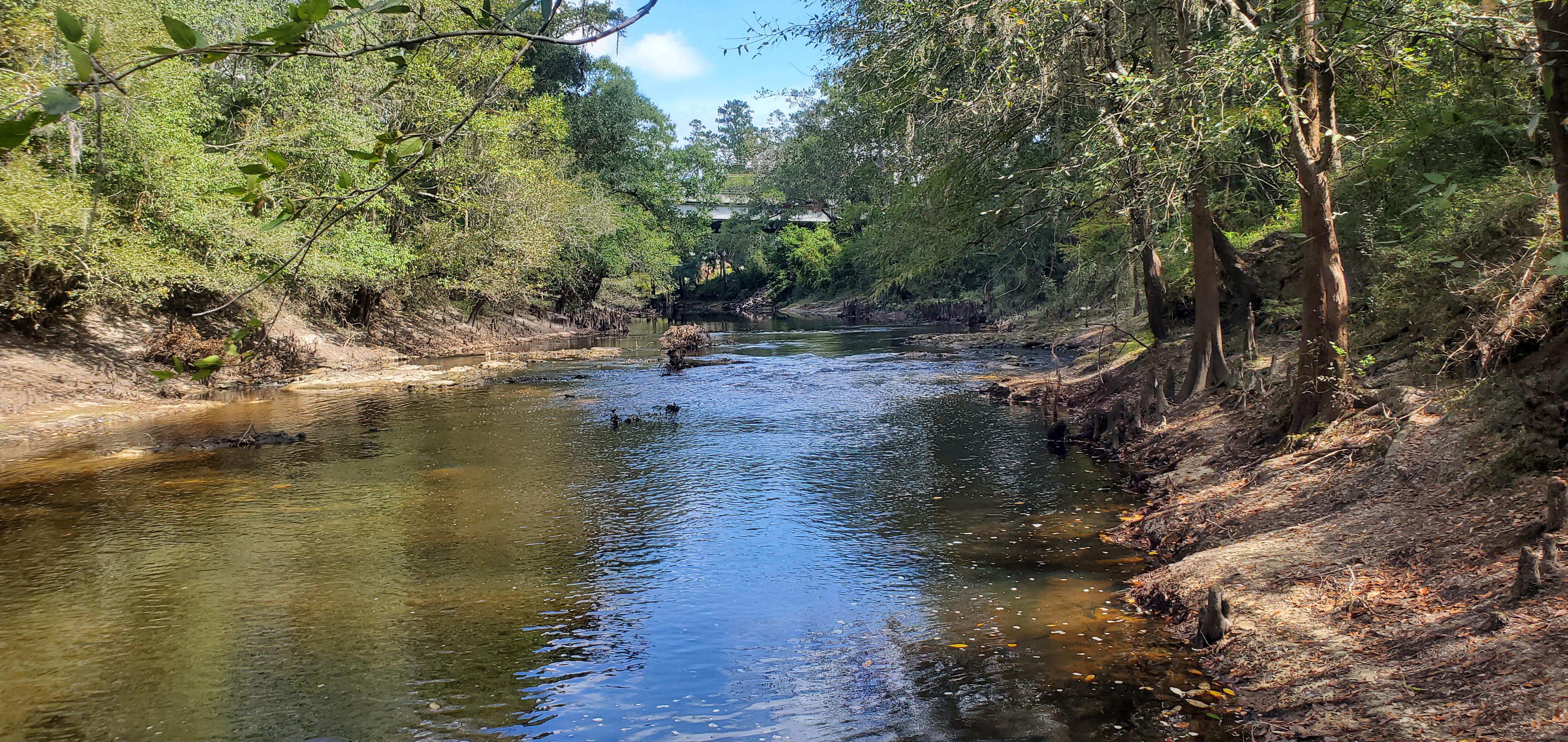 Troup Bridge, Troupville Boat Ramp, GA 133, Little River 2023-10-05