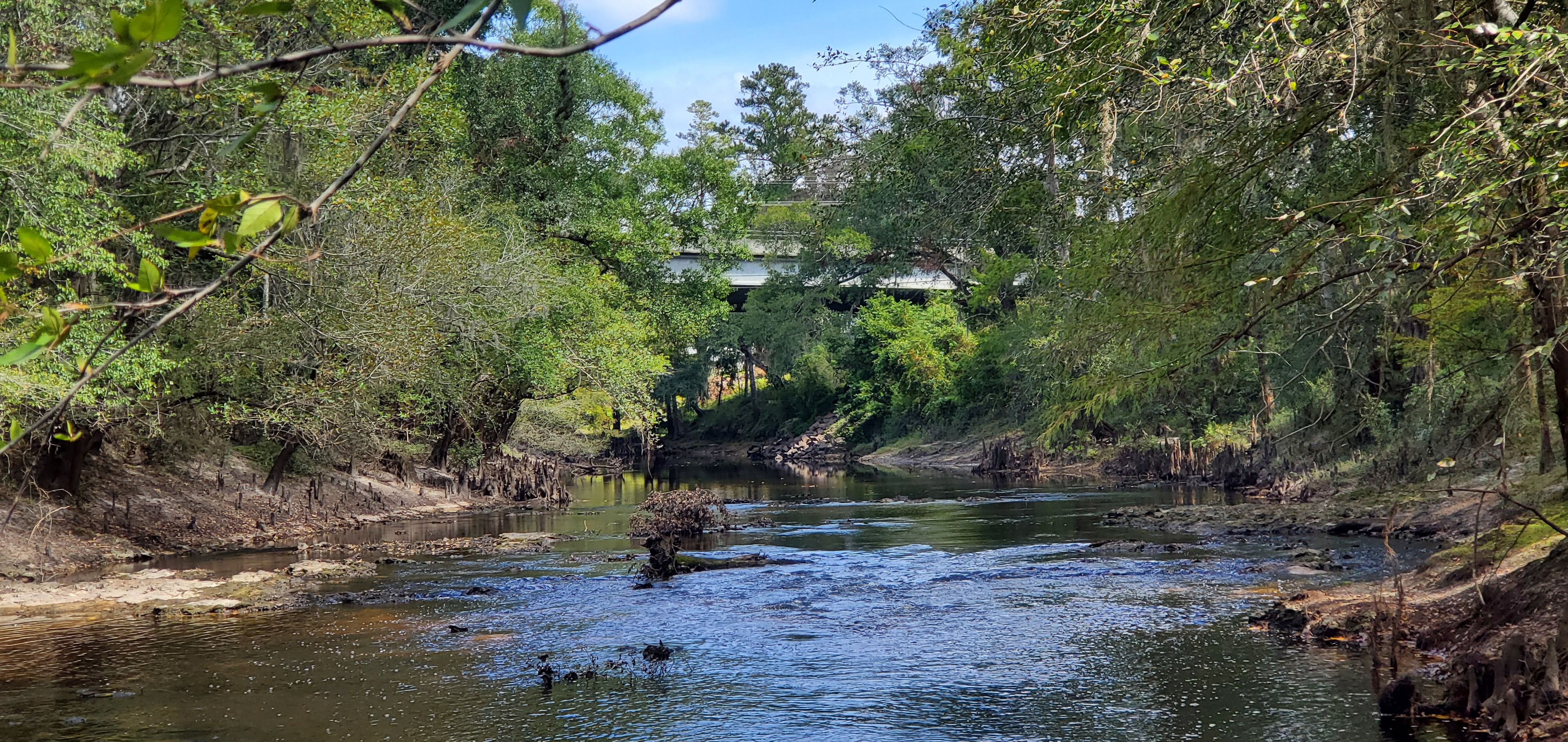 Dam remains and Troup Bridge, Troupville Boat Ramp, GA 133, Little River 2023-10-05