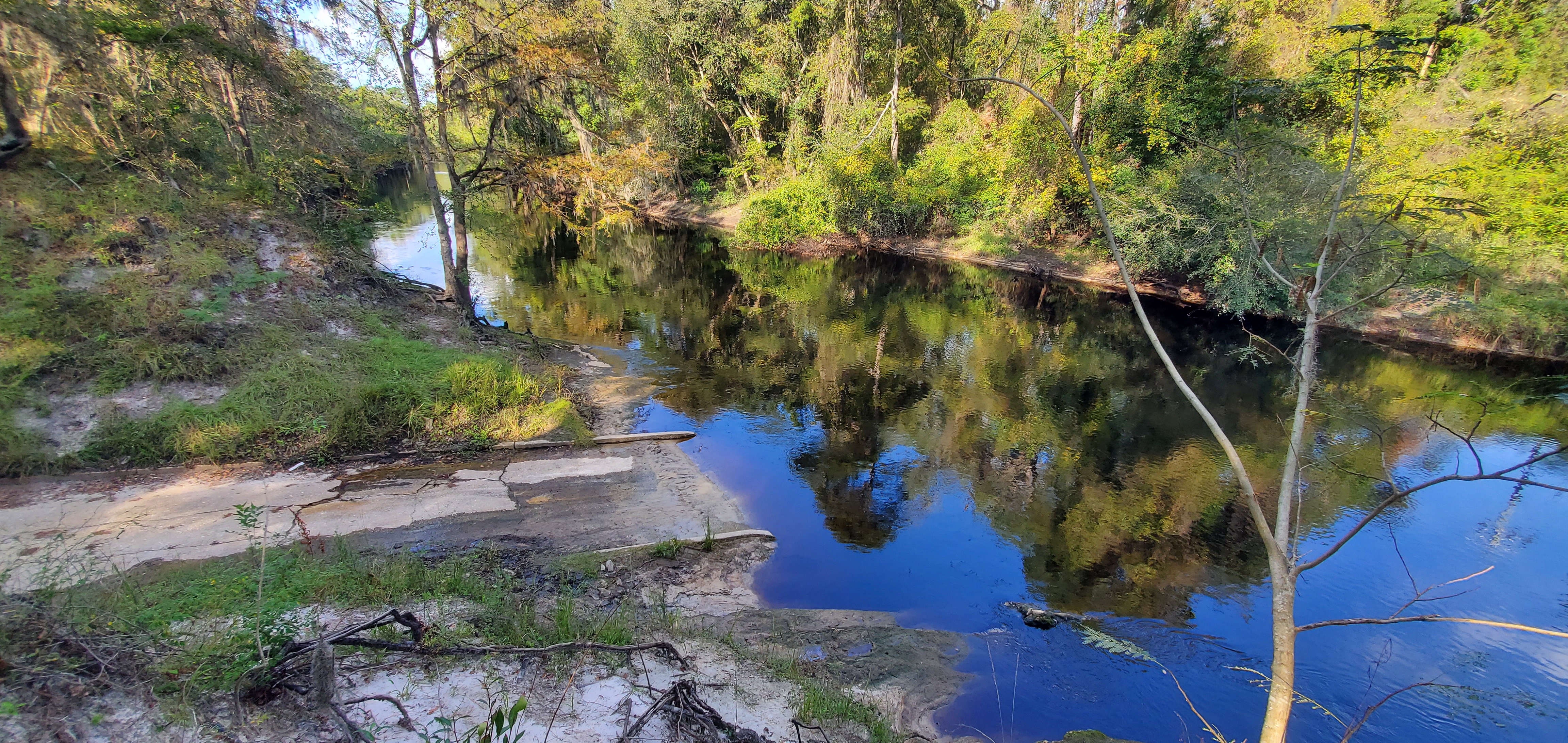 Upstream, Statenville Boat Ramp @ GA 94, Alapaha River 2023-10-05