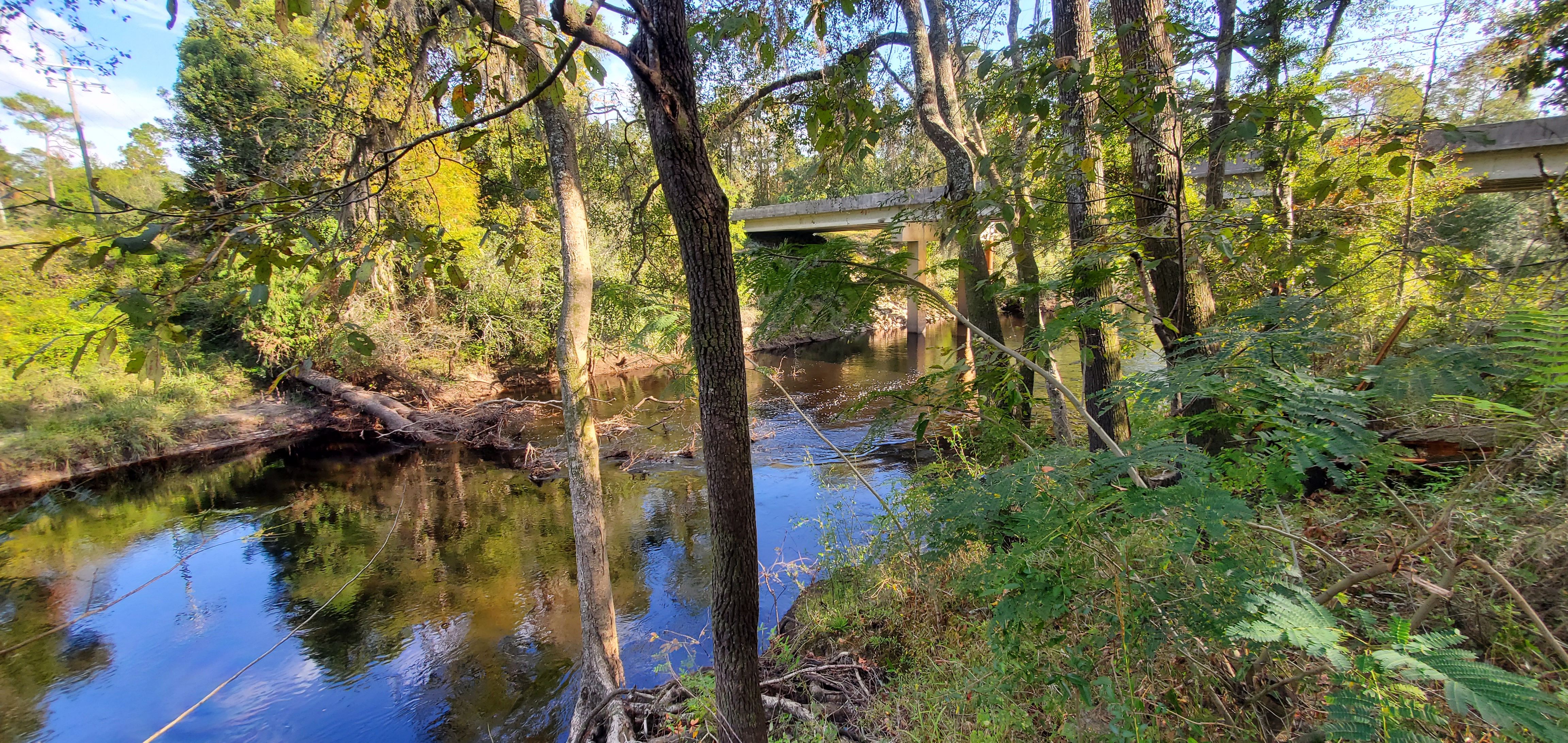 Downstream, Statenville Boat Ramp @ GA 94, Alapaha River 2023-10-05