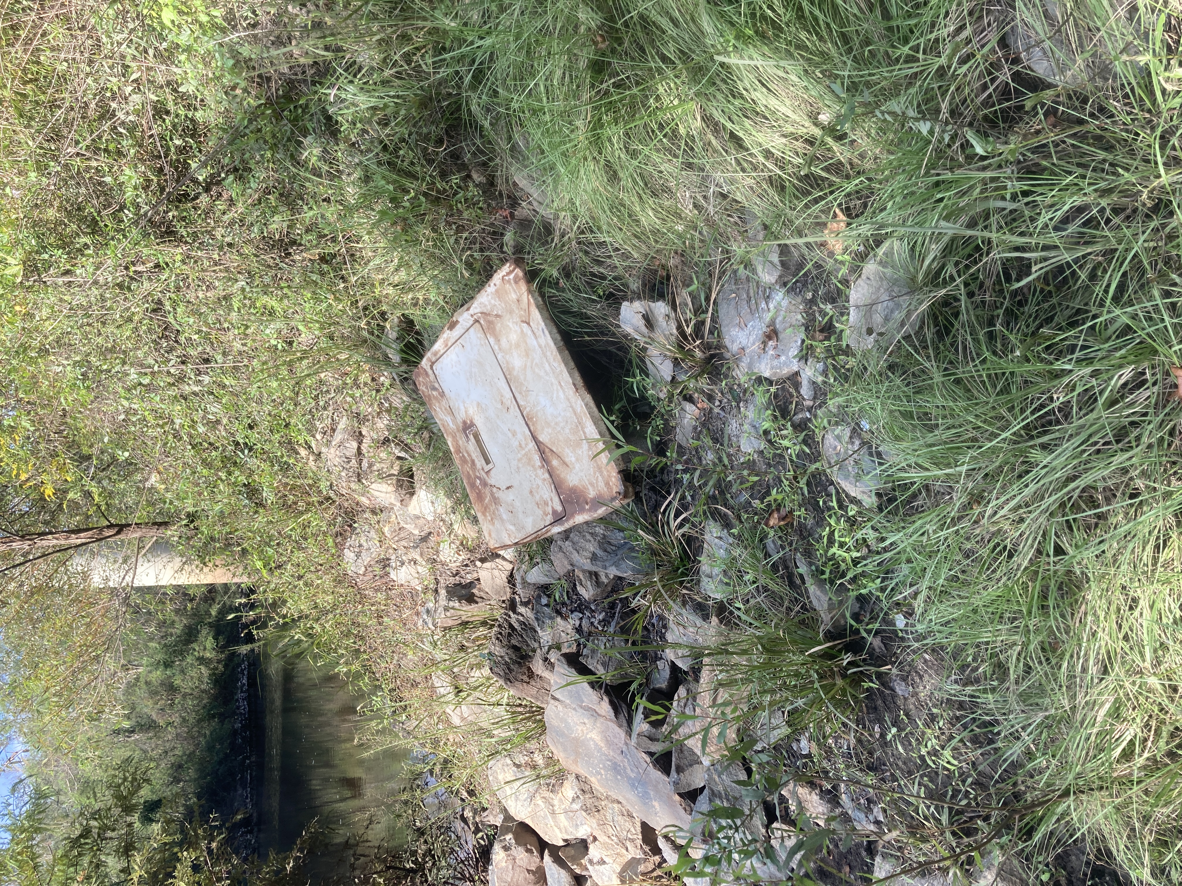 Debris, Nankin Boat Ramp, Withlacoochee River 2023-10-05