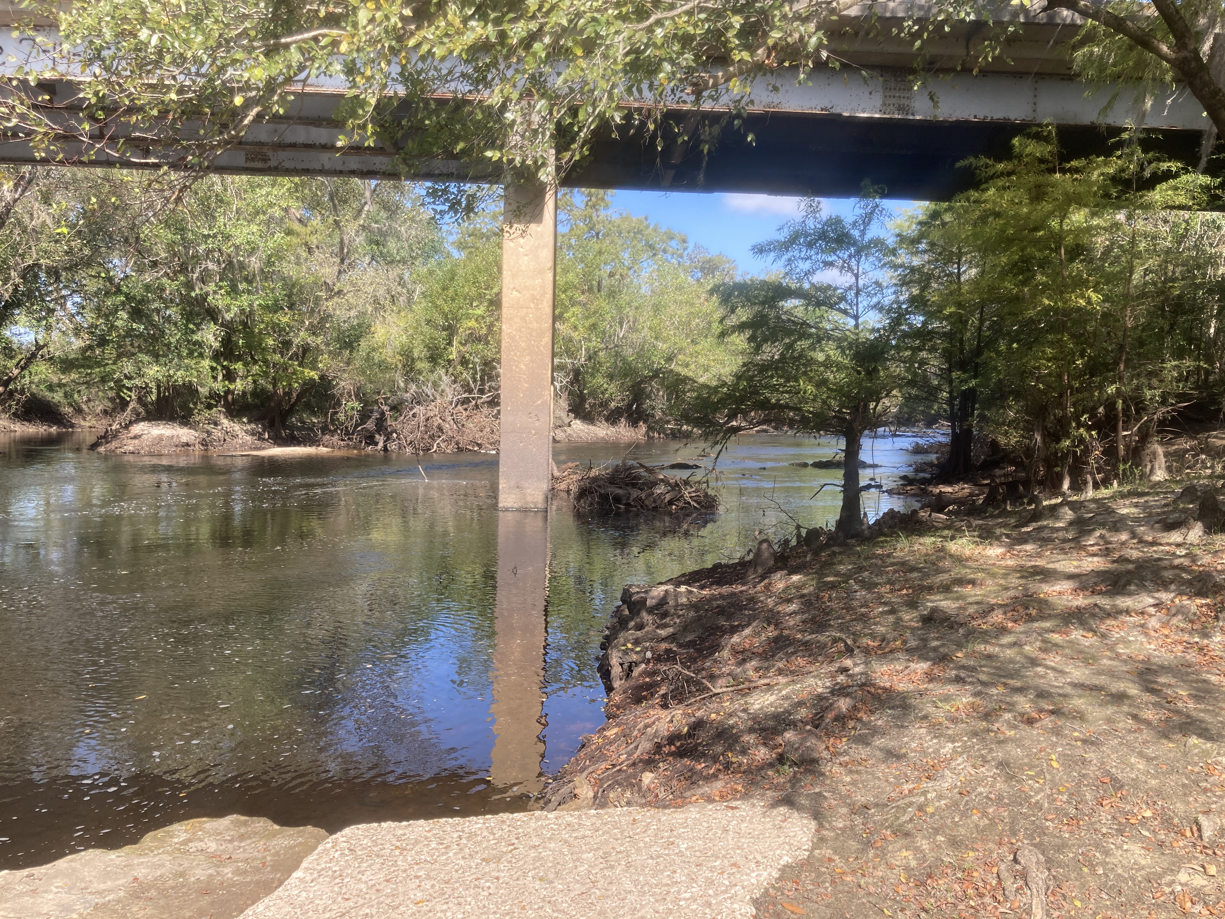 Upstream, Nankin Boat Ramp, Withlacoochee River 2023-10-05