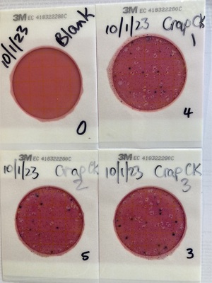 [Plates, Alapaha WWT Outflow 2023-09-30]