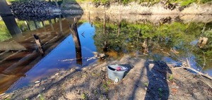 [Sample, Old Bridge Pilings, GA 122 @ Withlacoochee River 2023-10-05]