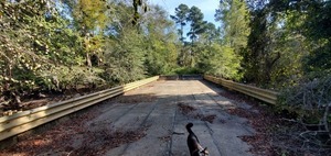 [Tyler Bridge with Arrow, Franklinville Landing, Withlacoochee River 2023-10-05]