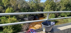 [Downstream @ GA 133, Withlacoochee River 2023-10-05]