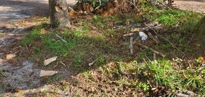 [Trash, Statenville Boat Ramp @ GA 94, Alapaha River 2023-10-05]