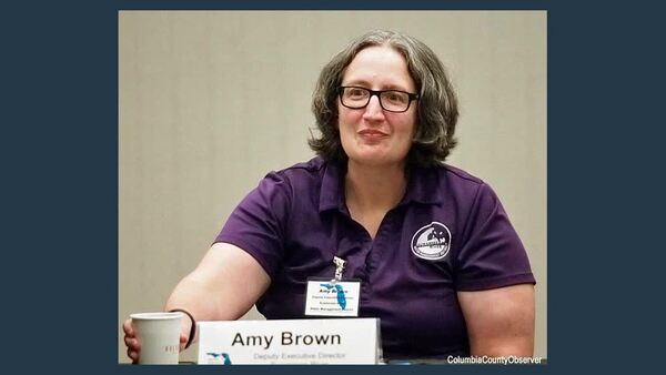 [Movie: Amy Brown presentation (22M)]